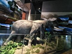 -武汉园博园(武汉自然博物馆)