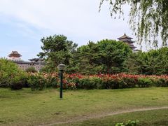 -莲花池公园