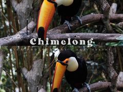 -广州长隆野生动物世界