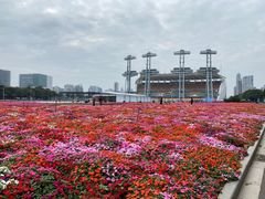 -花城苑广府菜(海心沙店)
