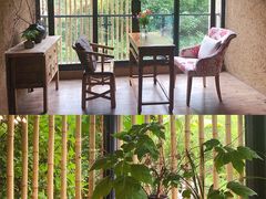 -看见远方·莫干遥远的山民宿