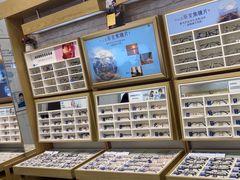 -标准眼镜·蔡司官方授权店(塘沽远洋未来汇店)