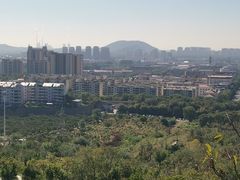 -府君山公园