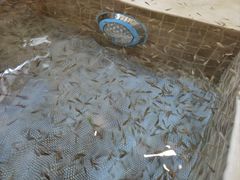 -中家鑫园温泉酒店鑫悦汤泉