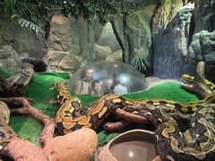 -广州长隆野生动物世界