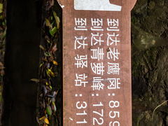 -滴水岩森林公园