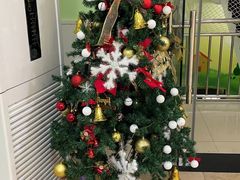 -学知乐教育·幼小衔接·小学科辅导(嘉定镇校区)
