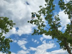 -永定河休闲森林公园