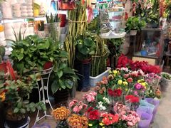 -双季花艺园艺市场(浦东店)