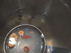 -一家人(凯旋路店)