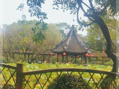 -上海醉白池公园