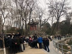 -莲湖公园
