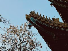-雍和宫