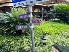 -SWAG·日咖夜酒·城市露营