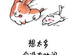 -富马爷巧克力派(石景山万达店)