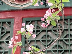 -海棠花溪(元大都城垣遗址公园)