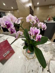 -酉嘉瑜伽YO+YOGA