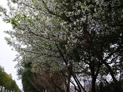 -滨湖塘西河公园