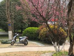 -USTC1958东区·by UNILAB