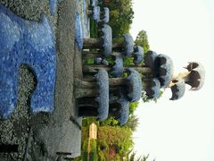 android_upload_pic-南馆公园