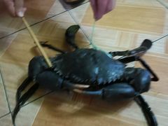 -毛里求斯小四川餐厅总店