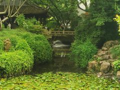 -上海醉白池公园