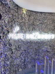 -深圳美莱医疗美容医院