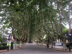 -河海大学(江宁校区)