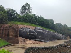 -三水森林公园