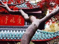 -岳麓山风景名胜区