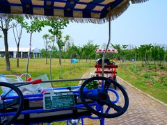 -上海海湾国家森林公园