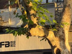 -蘭心餐厅(进贤路店)