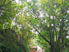 -安溪清水岩
