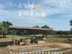 -西安秦岭野生动物园