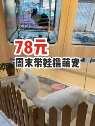 -Moni星球萌宠·小马宝莉·灵蛇·高端高阶全萌宠互动体验俱乐部(红豆国际广场店)