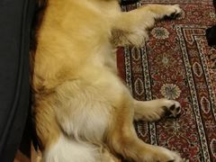 -火车头法国西餐厅