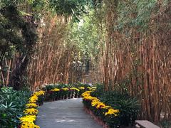 -东莞市可园博物馆