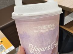 -一只酸奶牛(曲江龙湖星悦荟店)