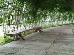 -秀丽东方