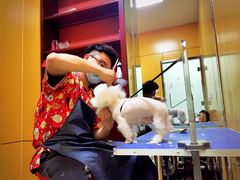 -佑安动物医院·全科·内窥镜中心(幸福巷店)