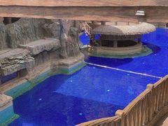 -长鹿旅游休博园