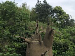 -梅岭月亮湾山体公园