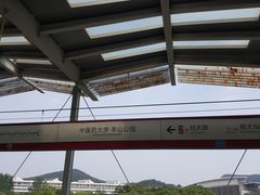-羊山湖公园