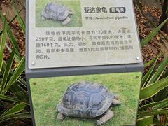 -广东惠东海龟国家级自然保护区