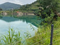 -水濂山森林公园