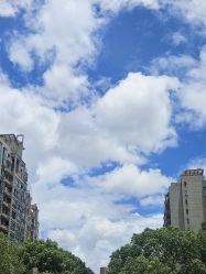 -复旦大学附属儿科医院