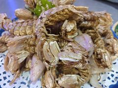 -生蚝园