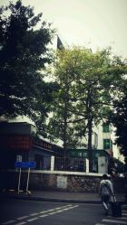 -巴黎婚纱摄影工作室