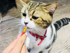 -小时光咖啡馆(开森度假森林店)