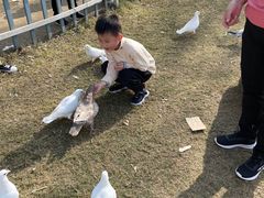 -南通洲际绿博园